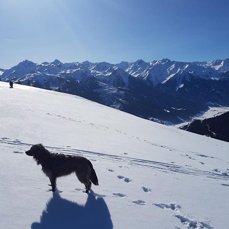 Cordial Sport Hotel Going Going am Wilden Kaiser Exteriér fotografie