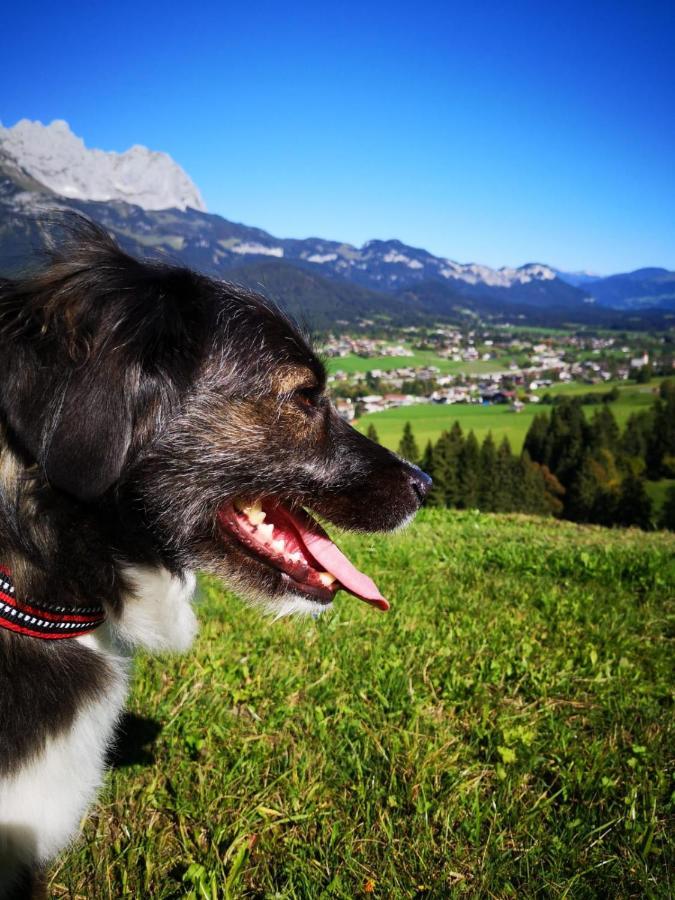 Cordial Sport Hotel Going Going am Wilden Kaiser Exteriér fotografie